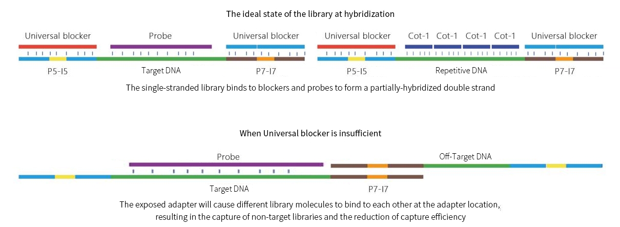 Blocker Working Process